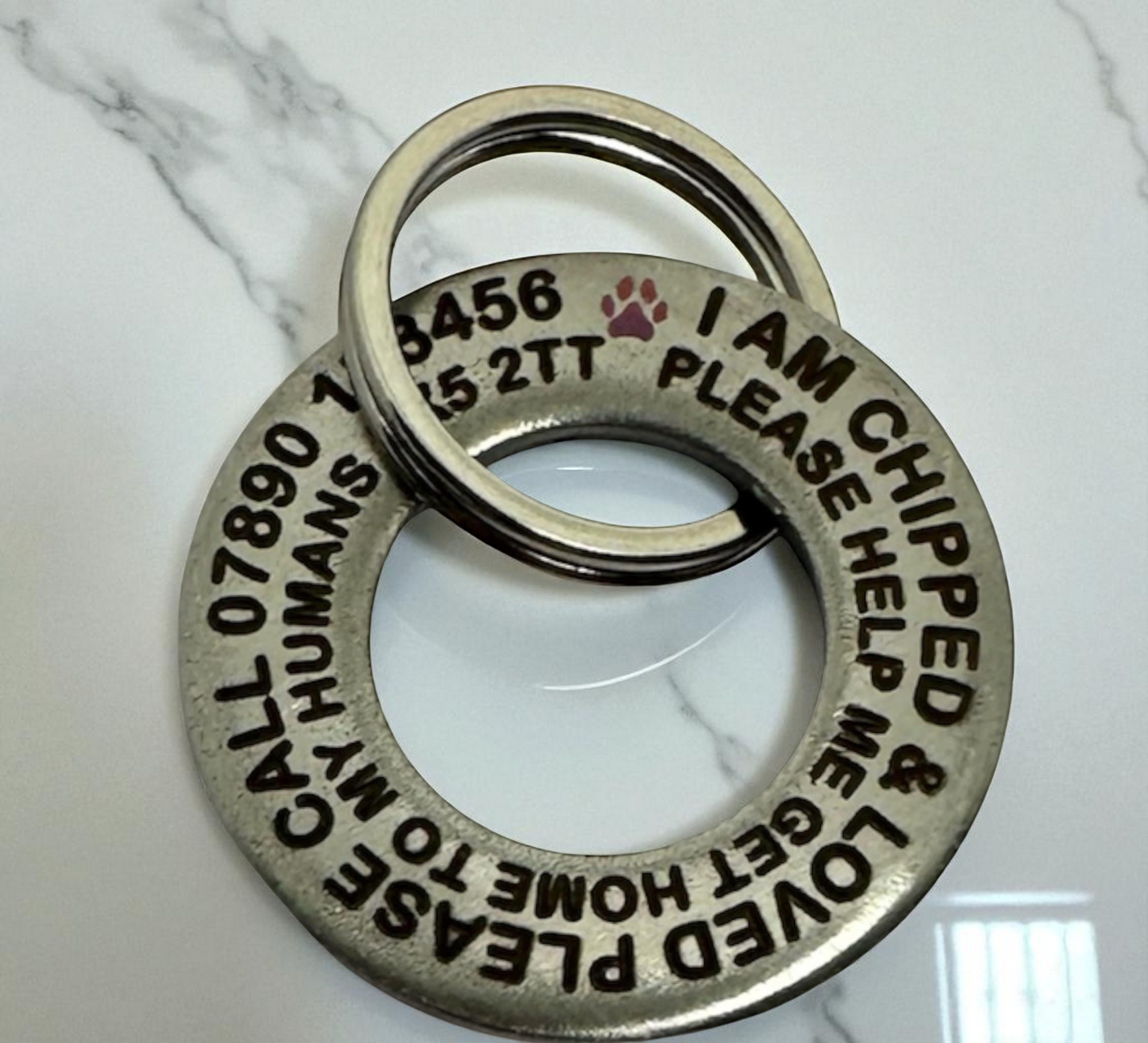 Close-up of a pet ID tag with engraved text indicating the pet is chipped and providing contact information for their owners.